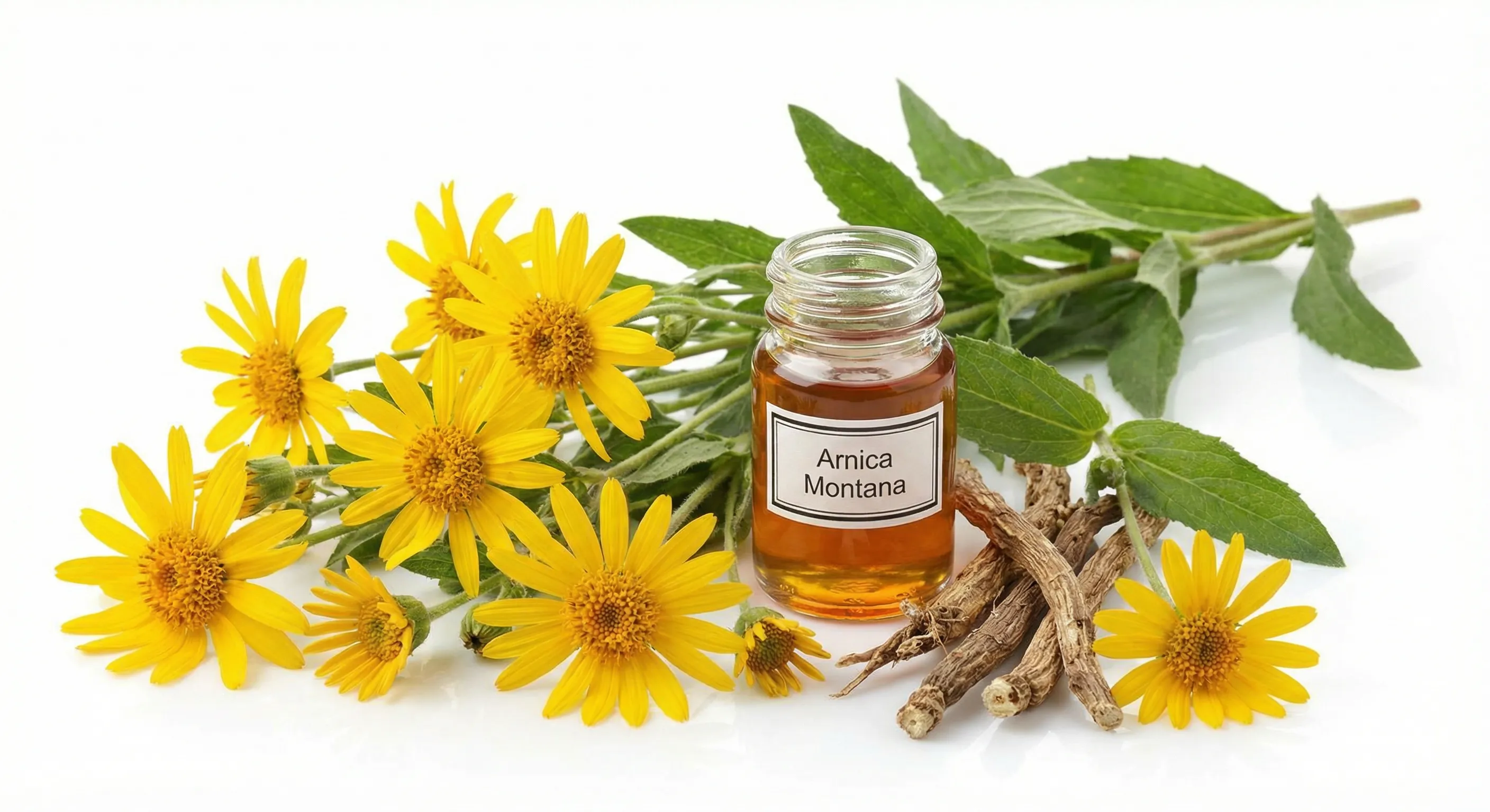 Árnica Montana